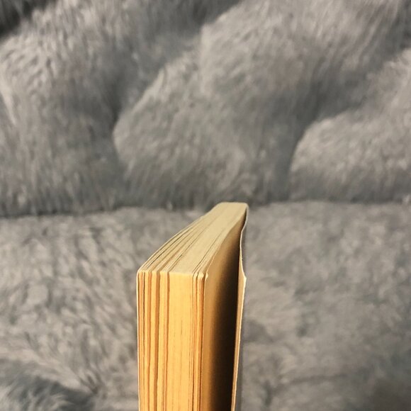 Nancy Drew and the Hardy Boys Camp Fire Stories by Keene, Carolyn - Picture 4 of 6